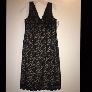 NWT Black Lace Short Dress